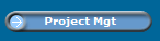 Project Mgt